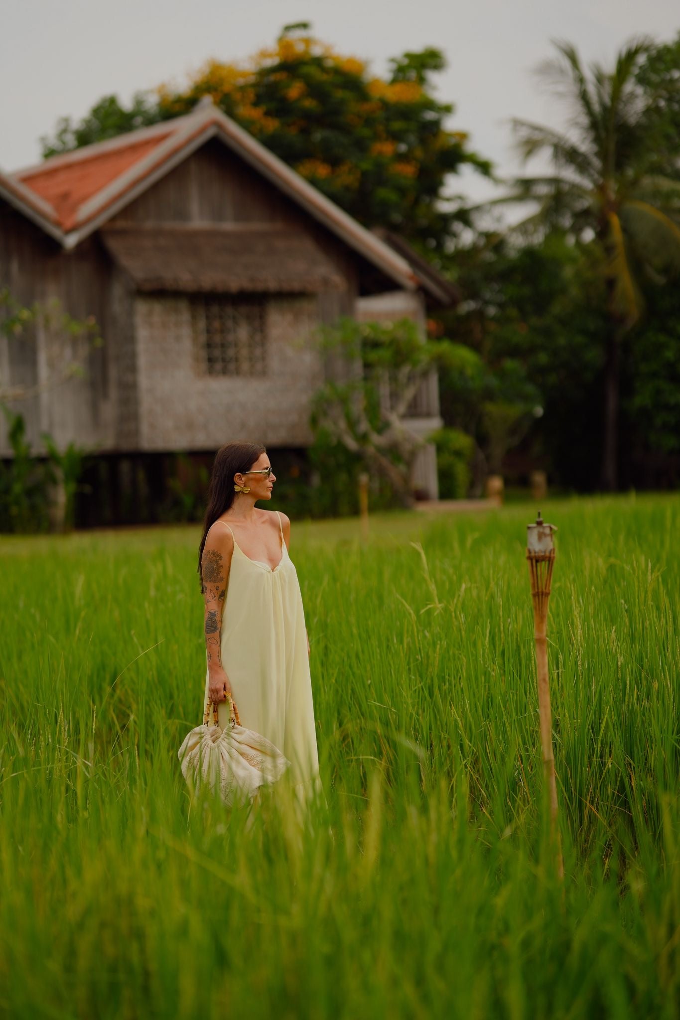 PEARL DRESS| Golden Mist